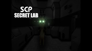 Playing as SCP-173 | SCP Secret Laboratory
