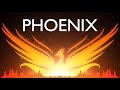 Fall out boy phoenix lyrics animated by kerry paulazzo