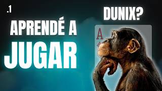 Dunix for Beginners | Everything You Need to Know