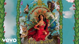 Lila Downs - Your Fake Love (Cover Audio)