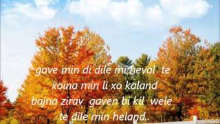 Diyar Zeynebê 2013 - By Lewend