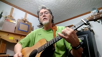 Exploring the Shubb Partial Capo