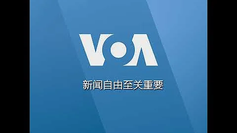 數百鯨魚澳洲海灘被困 380頭死亡88頭獲救 - 天天要聞