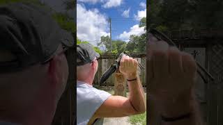 SOG KIKU FX Blackout Knife Thrown in the Board Happy Birthday KIKU Matsuda!