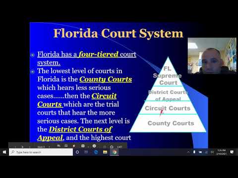 Florida State Courts