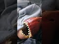 plushie battle part 6/THE END