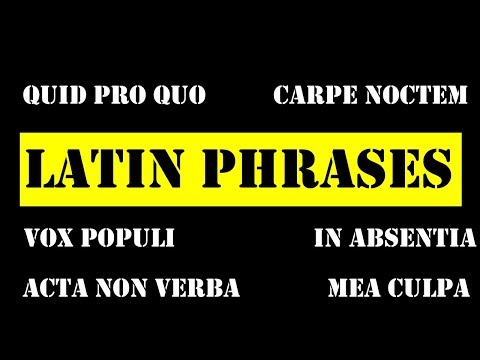 Latin Phrases Everyone Should Know