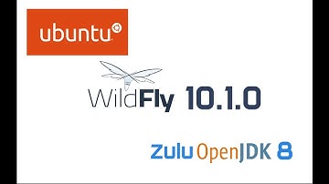 WildFly 10.1.0 Installation in Ubuntu 16.04 LTS with Zulu OpenJDK 8 (Java 8)