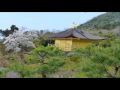 音樂磁場-夢不到你- 2016金閣寺,Kyoto,Japan