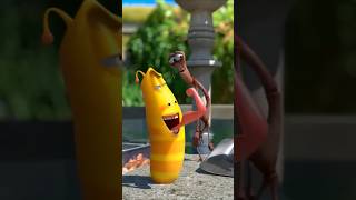 ​​​ Larva Season 1 Episode 14 | The BEST of Cartoon Box | Larva Full Episode | New Cartoon Comedy
