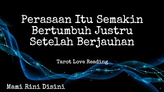 'Perasaan Semakin Bertumbuh Justru Setelah  Berjauhan' Ramalan Tarot | All Zodiak