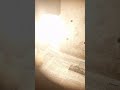 обзор на Рембо