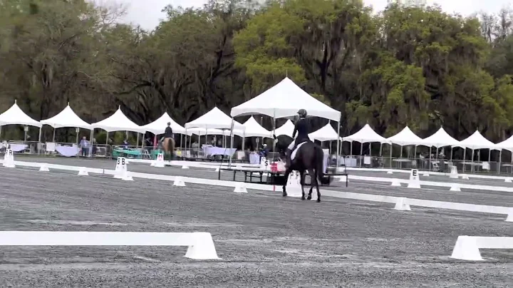Stephanie Cordell and Codename Toby Red Hills CCI2...