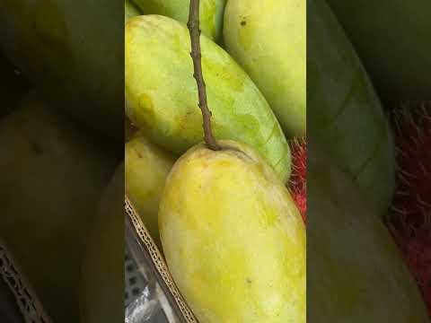 Amazing Thai Giant