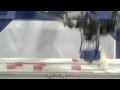 Adept Quattro robots in high speed packaging