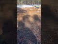 Traxxas X Maxx ripping it through snowy forest ￼