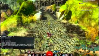 Guild Wars 2 - Trying to kill while drunk.