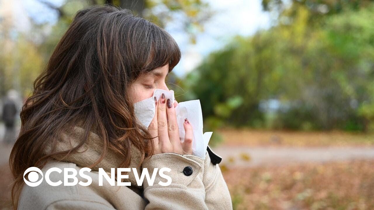 Health officials warn of new flu strain outbreak