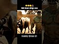 Bhains Bechkar Fortuner Li – Phir Jo Hua, Kisi Ne Nahi Socha Tha! #funnystory