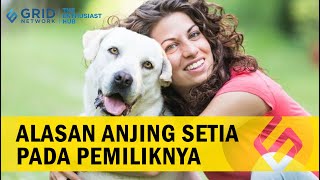 3 Alasan Anjing Setia pada Pemiliknya, Salah Satunya karena Tumbuh Bersama