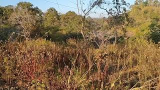 Ma Devrani Dai .Pagara Parasia