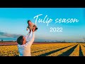 Tulip season 2022🌷 with babyboy👼