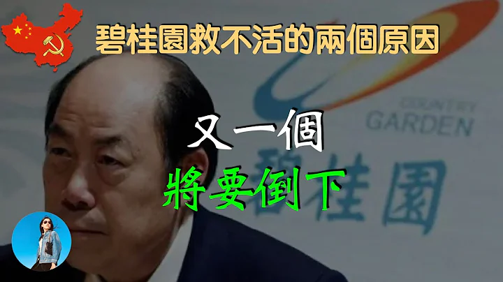 碧桂园要完蛋了，杨惠妍转移股权谋划退路，说说碧桂园救不活的两个理由！｜米国路边社 [20230801#454] - 天天要闻