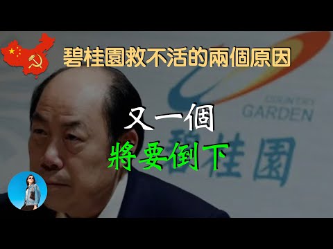 碧桂園要完蛋了，楊惠妍轉移股權謀劃退路，說說碧桂園救不活的兩個理由！｜米國路邊社 [20230801#454]