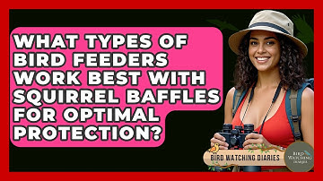 What Types Of Bird Feeders Work Best With Squirrel Baffles For Optimal Protection?