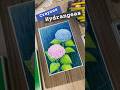 【20秒解説】紫陽花の描き方withクレヨン/ Crayons Hydrangeas in 20 seconds #art #クレヨン  #紫陽花  #描いてみた