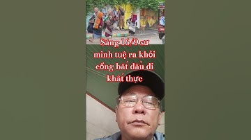 sáng 16/9 sư minh tuệ ra khỏi cổng bắt đầu đi khất thực