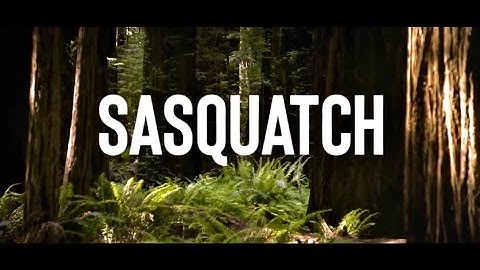 Sasquatch Documentary 2021 (Part 1 - Full Episode)