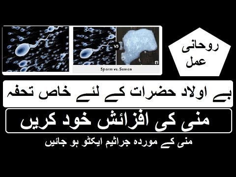 Mardana Sperm Ya Mani Aur Jaraseem Ko Increase Karne Ka Rohani Aur Dasi Ilaj Urdu Hindi...
