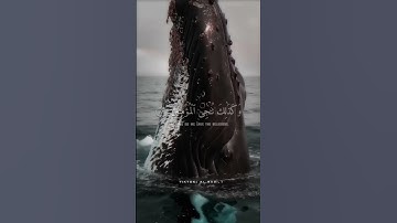 ارح سمعك.. تلاوة هادئة تريح القلب والعقل💙🎧