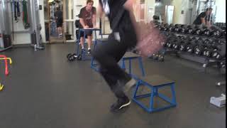 Single Leg Drop Land + Hop