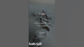 تلاوة خاشعة #القرآن_الكريم #المصحف #صلوا #اكسبلور #سورة_يوسف #صلوا #quran#ارح_سمعك