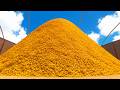 finding a needle in a haystack