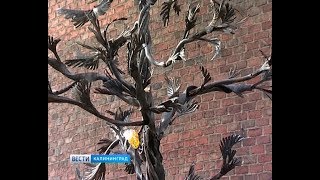Необычная сосна выросла в Музее янтаря видео Музея янтаря