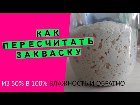 Video: Ovatko sauvat Gram-negatiiviset vai positiiviset?