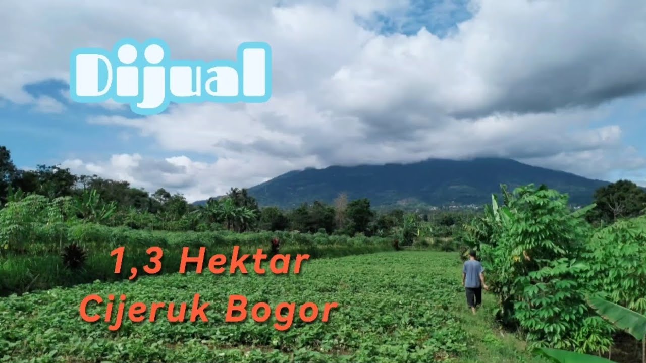 #landforsale JUAL TANAH KEBUN VIEW GUNUNG Di Cijeruk BOGOR #jualtanah #kebun @aldipropertybgr915