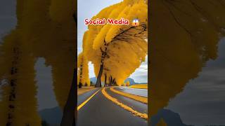 Social media vs reality #travel #destination #explore #adventure #automation Music: Makeba byJian