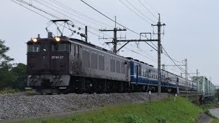 EL碓氷(復路)EF64-37+12系客車 烏川鉄橋 14/10/12