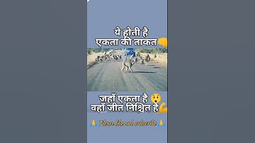 power of unity #shorts #viral #trending