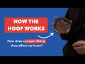 Rich Affonso Explains How the Hoof Works