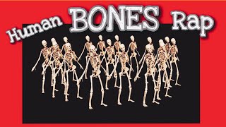 Human Bones Song 🎵 | EASY & FUN Way to Memorize the Bones of the Body (FUNdamental RAPS) Anatomy screenshot 5