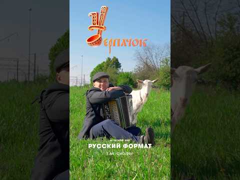 Алексей Добров и его козочка «Манька» очень ждут 6 июня. Кто с ними? 😉