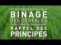 Binage des céréales : adaptations du matériel