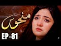 Manhoos – Episode 81 | Shocking Truth Revealed 😱 | Cursed Love &amp; Dark Secrets