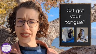 Idiom - Cat Got Your Tongue?