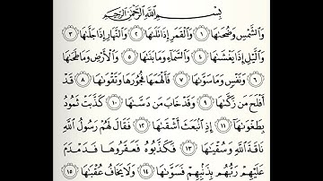 سورة الشمس القارئ أكرم العلاقمي